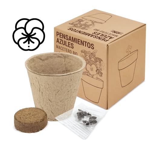 DISOK - Lote 15 a 60 Macetas Biodegradables con Semillas. Detalles ecológicos para bodas, regalos biodegradables boda, bautizos y comuniones. (30)