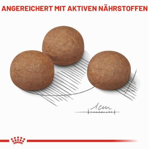 Royal Canin CCN Digestive Care Mini | 3kg | Alleinfuttermittel für Hunde | Für ausgewachsene und ältere kleine Hunde (1 bis 10 kg) mit empfindlicher Verdauung | Trockenfutter