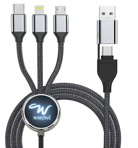 Image of Wayona All in One 6-in-1 Charging Cable, USB-A & Type-C to Type-C, Lightning, Micro-USB, Fast Charging Lightup Cable 60W for iPhone,Android,Power Bank & Laptop