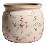 Xiaan Jiaju Ceramic Planters for Indoor Plants, Plant Pots with Drainage Hole, 6.29in. Flower Pots for Indoor Plants, Planters & Succulent Pots, Crackle Glaze Finish Plant Pots Indoor, Tiny Red