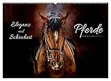 Eleganz und Schönheit - Pferde (Wandkalender 2023 DIN A2 quer), Calvendo Monatskalender