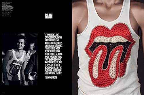 The Rolling Stones: Unzipped