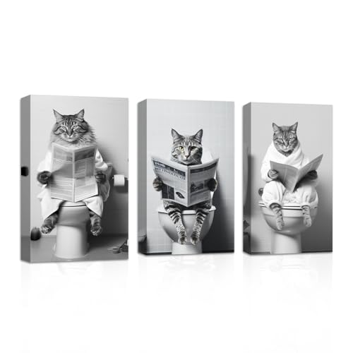 CXHOSTENTʔoX[Ǒ3s[XgCɍĂ铮LǏpVLoXvgoX[ʐ^t[