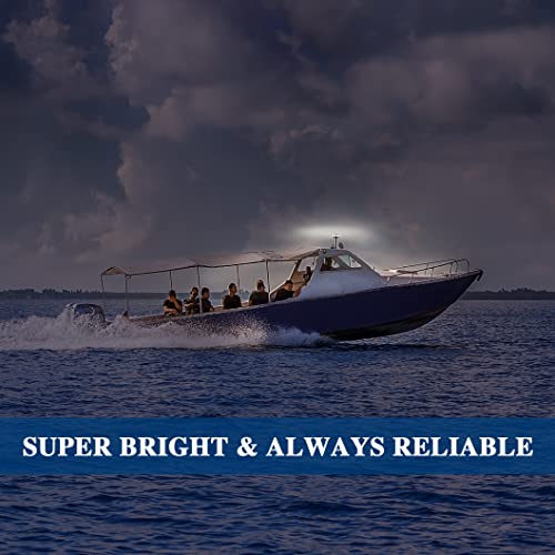 Image of Anchor Light Boat Bimini Light Stern Light LED Marine Navigation Lights USCG 2 NM All Round White Stainless Steel 12 Volts for Pontoon 8 Inches (Adjustable Fold Down Base)