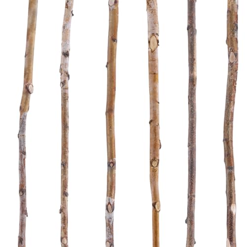 Yousoontic 6 Pcs Birch Pole Assortment 3ft Natural Wood Sticks Twigs for Crafts Branches for Home Decoration Holiday DIY Supply for Creative Projects