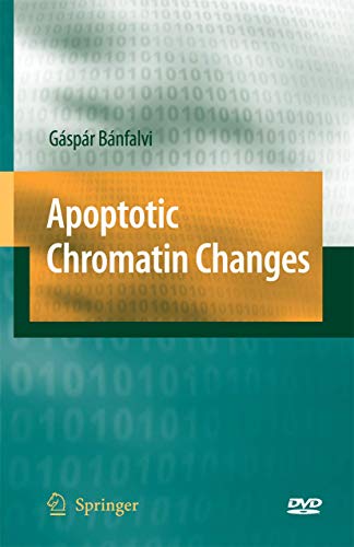 Apoptotic Chromatin Changes view 2