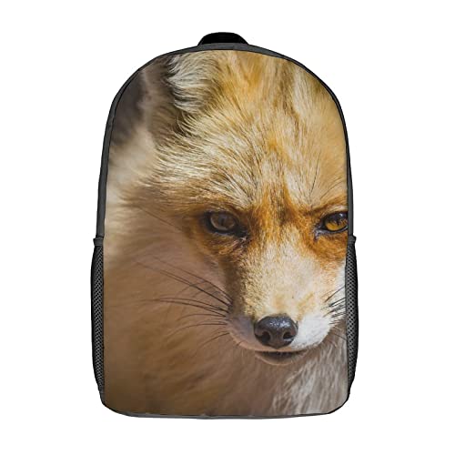 Sac à dos d'école enfants Fox robuste pour soulager le dos et tout ranger