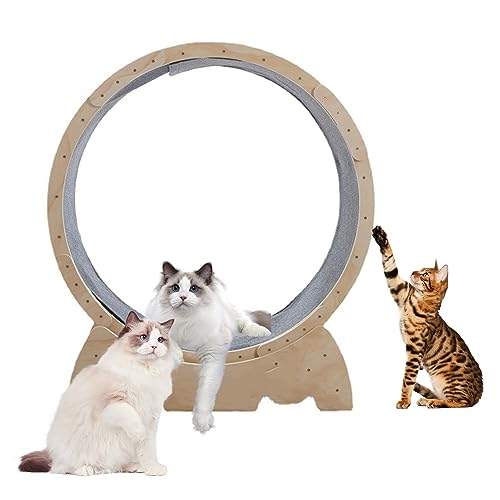 cadciehe Rueda para correr para gatos con mecanismo de bloqueo, rotación constante de mordedura/arañazos, fácil de montar, ultra silenciosa, rueda de ejercicio para gatos, juguete para interiores,