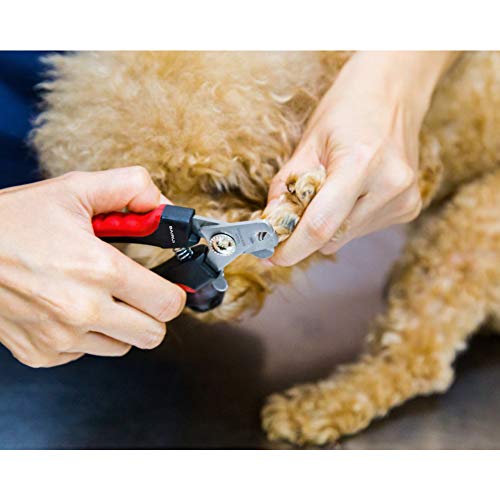 BAIRUI Cortaúñas para perros y cortauñas resistentes para perros grandes, recortadora profesional de uñas para perros y gatos, cortador de uñas de mascotas con protector de seguridad para evitar que - imagen 5