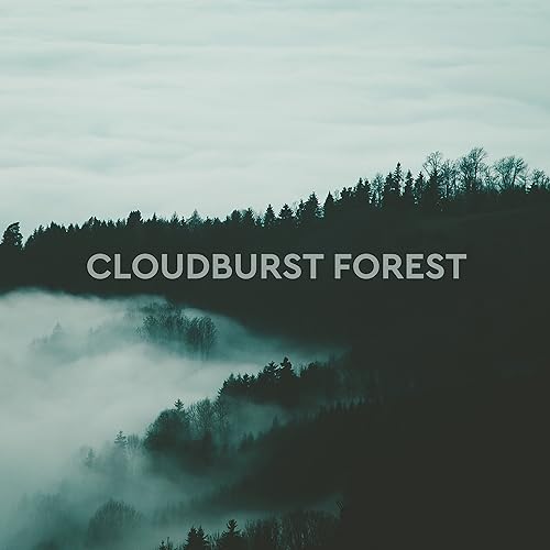 Cloudburst Forest