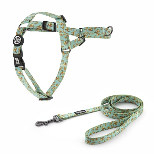 SUPER DOGGY Arnes Antitirones para Perro - Arnés Easy Walk con Co...