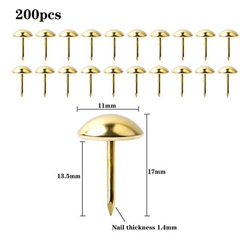 200 Stück 11x17mm Polsternägel Möbel Dekorative Reißnägel Ziernägel Vintage Möbel Heftzwecken Polster Reißzwecken Push Pins mit Aufbewahrungsbox für Möbel Sofa Sessel Stuhl Bett Dekoration (Gold)