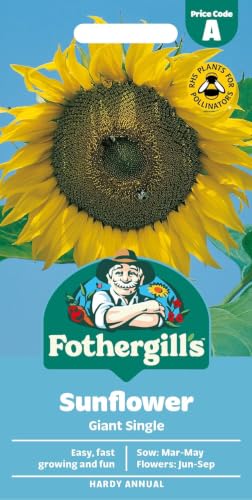 Fothergills Sunflower Giant Single Flower Seeds 75 Seeds Helianthus Annuus Yellow