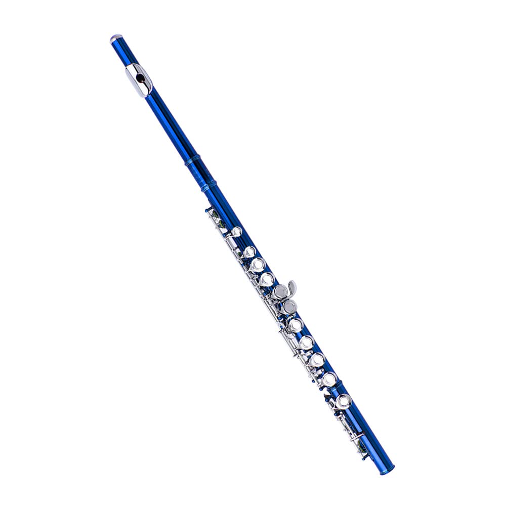 Flauta Travesera Cuproníquel Plateado 16 Agujeros C Clave Instrumento de Viento de Madera con Grease Cork Paño de Limpieza Guantes Palillo Mini Acolchado Caso Destornillador