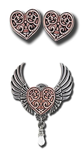 Valkyrie Heart de Anne Stokes conjunto steampunk de collar y pendientes para lucir en eventos gothic