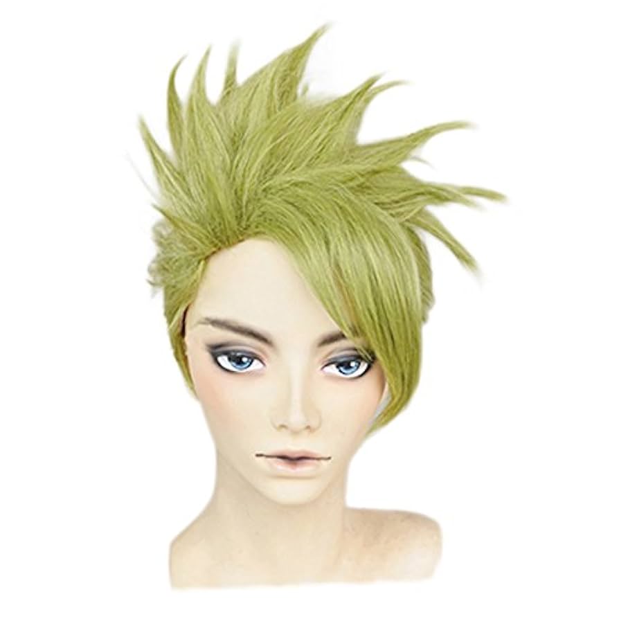 FGO アキレウス　ウィッグ FGO アキレウス ウィッグ Amazon.co.jp: [BUZHI] Fate/Grand