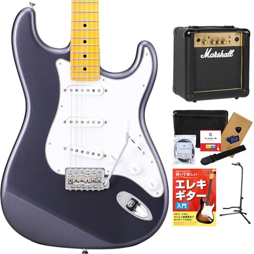 HISTORY HST/m-Standard CFM Charcoal Frost Metallic GLM^[ S12_Zbg yMG10tz nobJ[ؑ։\ XggLX^[ qXg[