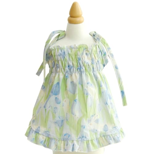 ėp`[bvvg ߉\ȃXgbvtphX ybgXJ[g _炩 p ^ybgphX