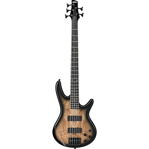 Ibanez GSR205SM-NGT Bajo eléctrico de 5 cuerdas, Natural Grey Burst