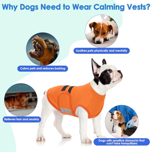 Image of MIGOHI Dog Anxiety Relief Coat,Comfort Anxiety Vest for Dogs,Adjustable Dog Anxiety Calming Wrap for Fireworks,Travel,Separation,Anxiety Jacket for Medium Dogs,M, Orange