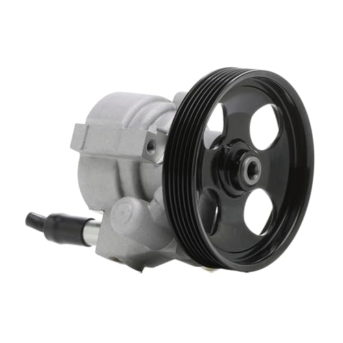 RIDEX Pompe de direction assistée Pompe De Direction Assistée 12H0006