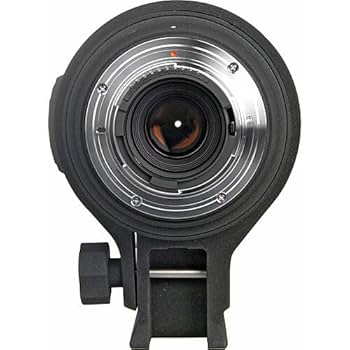 Amazon.com : Sigma 120-400 F 4-5.6 DG APO OS HSM Lens for