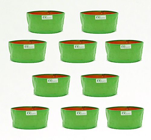 Image of Bio Blooms Round HDPE Plant Grow Bag for Terrace & Kitchen Gardening | Pack of 10 | 24x12 | 200 GSM Heavy Duty Outdoor Grow Bag | Durable Planter for Vegetables, Flowers & Plants | Green & Orange