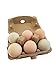 Pulp Egg Cartons, Blank Flat Top Style, Half Dozen - (Set of 25 cartons) NEW BIGGER SIZE