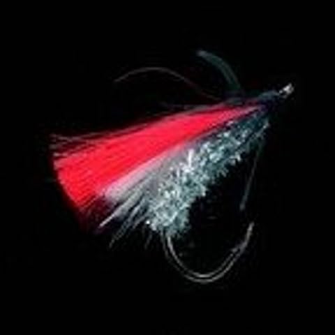 BIG-FLY ZUM MEERRESFIS Cover