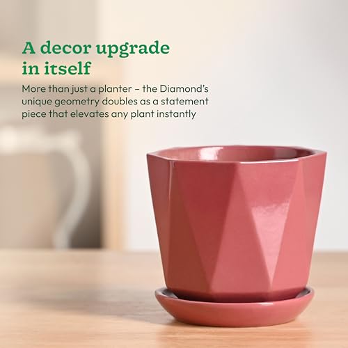 Image of UGAOO Diamond Ceramic Flower Pot for Indoor Plants, 4 Inch - Magenta