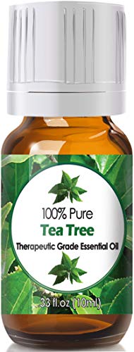 Tea Tree Essential Oil for Diffuser & Reed Diffusers (100% Pure Essential Oil)