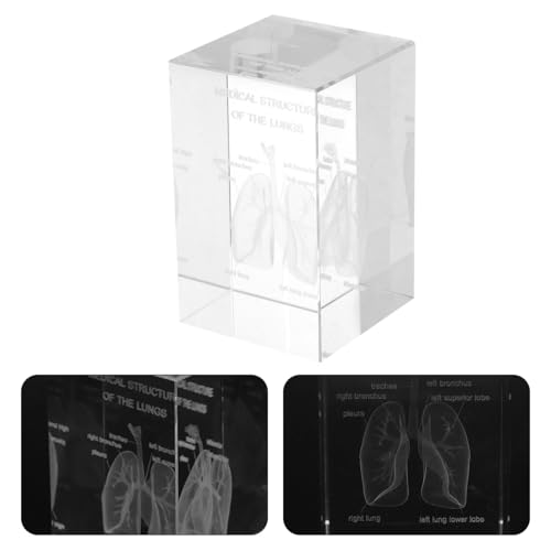Cubo de cristal con anatomía pulmonar SOLUSTRE como decoración para médicos 7