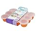 chuckle Contenitore Pappa per Bambini in Silicone, 12 Scomparti x75ml - Senza BPA