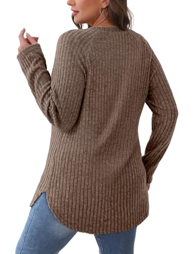 Image of Saloogoe Long Sleeve Shirts for Women 2025 Fall Clothes Tunic Tops Loose Fit Dressy Crewneck Pullover Sweaters Curved Hem