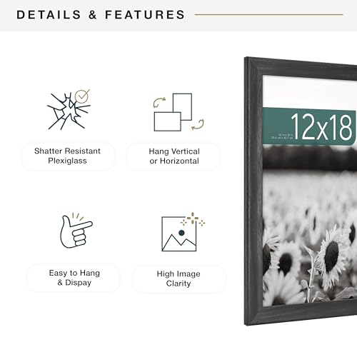 MCS Studio Gallery Classic 12x18 Picture Frame Black Woodgrain, Vertical & Horizontal Wall Hanging Large Picture Frame for Photos, Posters & Art Prints (1-Pack)