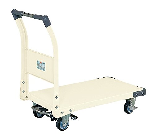 TJG l֎(300KG^CvEtbgu[Lt) TAN-22BRI 211222