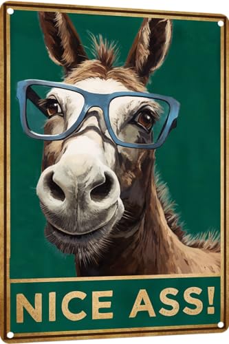 Image of TopPacific Vintage Donkey Art Metal Signs, Funny Bathroom Toilet Sign Nice Ass Wall Artwork Metal Poster Room Print Sculptures Decor for Home Signage Gifts 12x8 inches(917)