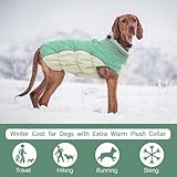 Kuoser Winter Hundejacke für mittelgroße Hunde – Wasserdichter & Winddichter Hundemantel mit Fleecefutter, Reißverschluss, D-Ring & Reflektoren – Warme Outdoor Hundebekleidung für Herbst & Winter, L