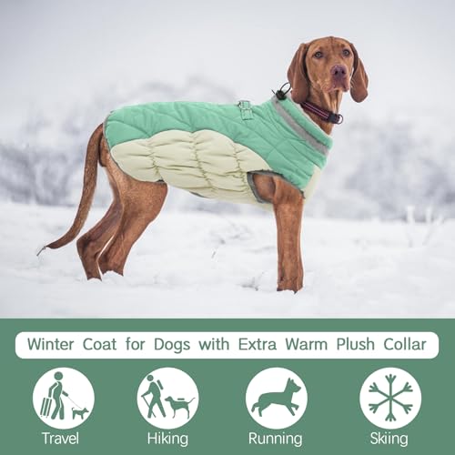 Kuoser Winter Hundejacke für mittelgroße Hunde – Wasserdichter & Winddichter Hundemantel mit Fleecefutter, Reißverschluss, D-Ring & Reflektoren – Warme Outdoor Hundebekleidung für Herbst & Winter, L