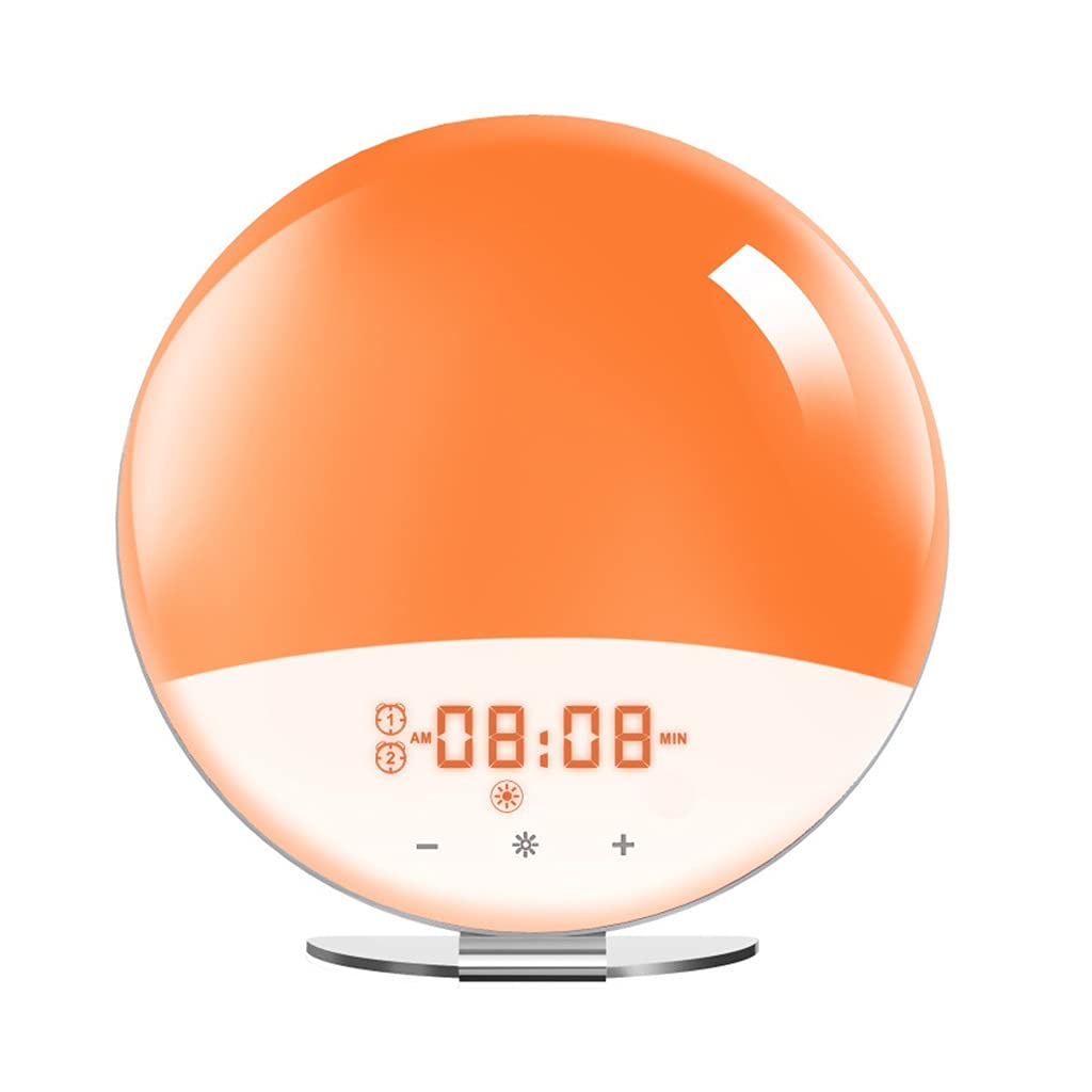 Wake Up Light Sveglia, Simulazione Alba/Tramonto, Radiosveglia Digitale, con Doppi Allarmi, Funzione Snooze, FM Radio