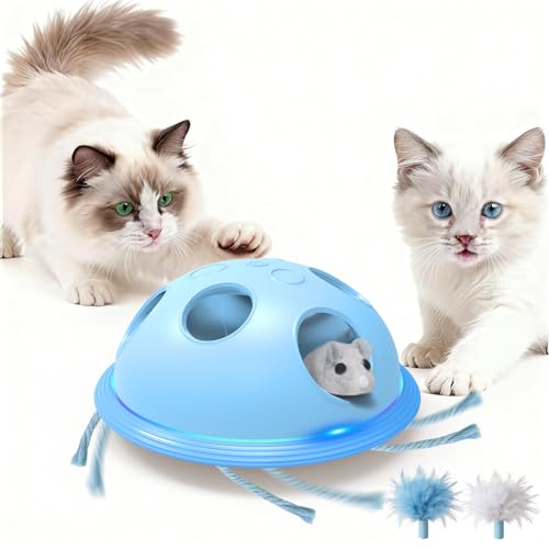 Pawingcat Automatic Cat String Toy 6 Holes Whack a Mole Cat Toy with Plush Running Cat Mouse Toy Hide and Seek Interactive Cat Toys for Indoor CatsBlue