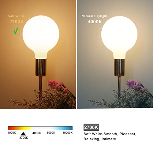 Image of G40 LED Globe Light Bulbs, E26 Base, Warm White 2700K, 2 Pack