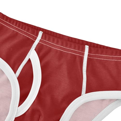 Boys' Exclusive Briefs Toddler Underwear 95% Combed Cotton Boxerbriefs 2T Solid Red 14