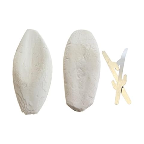 Natural Cuttlefish Bone for Reptiles, Tortoises, Snails, Birds and Small Animals, 4-6 inch, Twin Pack Cover