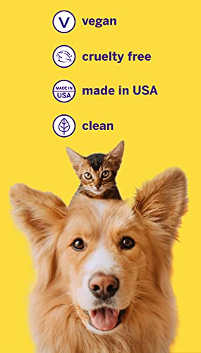 Petsmile Professional Pet Toothpaste – Cat & Dog Teeth Cleaning Supplies – Controls Plaque, Tartar, & Bad Breath – VOHC Accepted Toothpaste – Pet Dental Care Essentials (London Broil, 2.5 Oz) Petsmile Professional Pet Toothpaste – Cat & Dog Teeth Cleaning Supplies – Controls Plaque, Tartar, & Bad Breath – VOHC Accepted Toothpaste – Pet Dental Care Essentials (London Broil, 2.5 Oz)