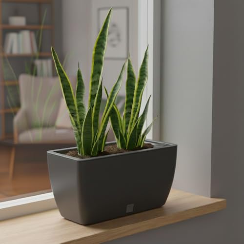 Image of GARDENCIA Self Watering Flower Pots for Outdoor Indoor Gardening /Rectangle Big Plant Pot with Polypropylene UV Material /Decorative Modern Gamla (Pack of 1, Recta Big Grey)
