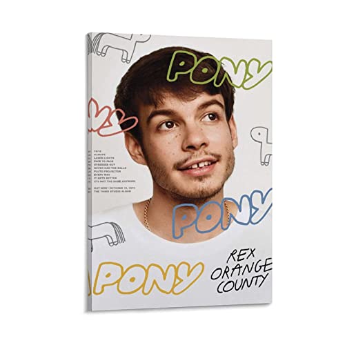 Poster Rex Orange County toile tendue 50x75 anti-reflet cadre salon chambre