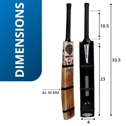 Image of PV Burn Black Babbar Sher | Kashmiri Willow | Hard Tennis Bat