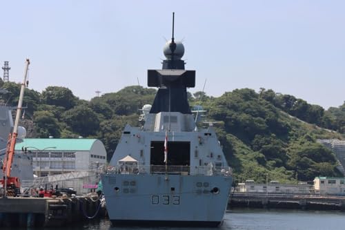 yp̊͒|XgJ[hzCMXCR̃fAOi܂45^j쒀́uh[gXv |XgJ[hR͂ photo by MIRO