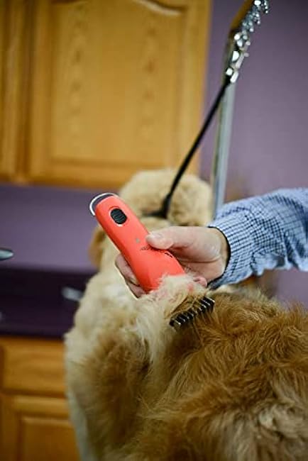 WAHL Professional Animal Stainless Steel Attachment Guide Comb Detachable Blade Pet Clippers - #0, 5/8 Inch Cut Length (3375-100), Yellow-iwowMJ9T